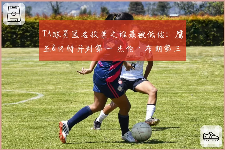 TA球员匿名投票之谁最被低估:鹰王&怀特并列第一 杰伦·布朗第三